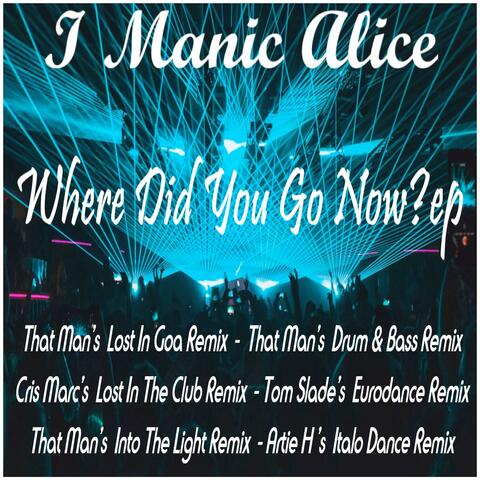 Where Did You Go Now? EP