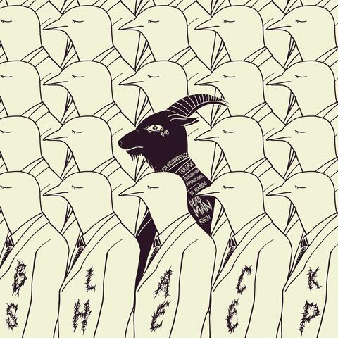 Black Sheep