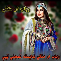 رباب او منګي ښایسته غمجني ټپې || Rubab ao mangi khayista ghamjini tape sandara || رباب او منګي