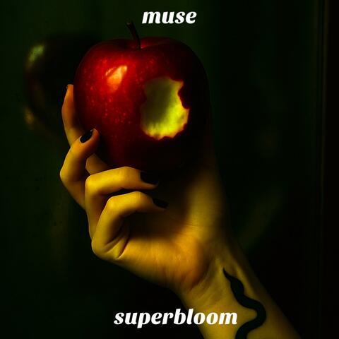 muse