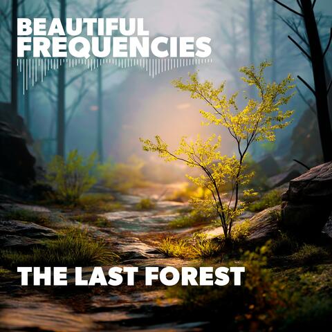The Last Forest