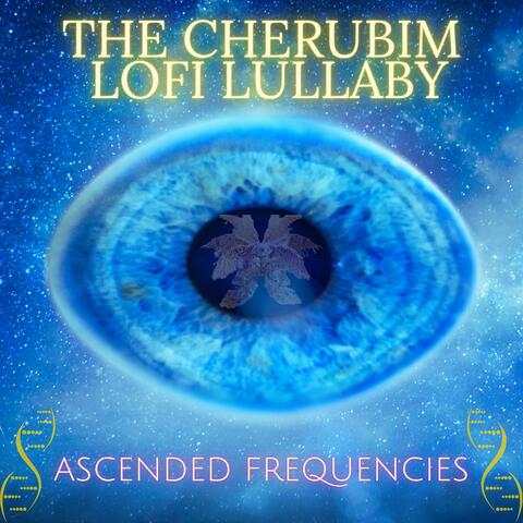 The Cherubim Lofi Lullaby
