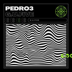 G.U.Five Pedro3 (Tech House Music)