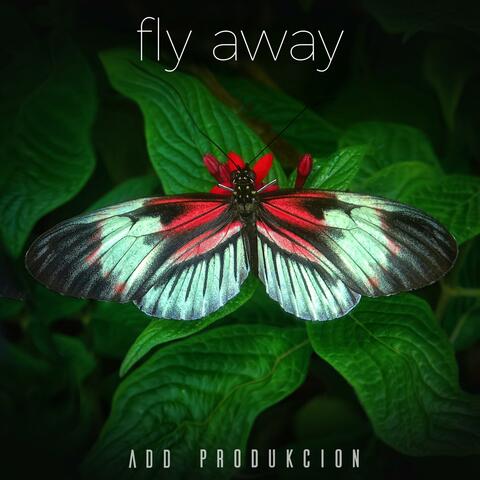 fly away