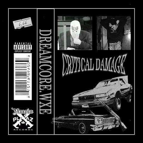 CRITICAL DAMAGE