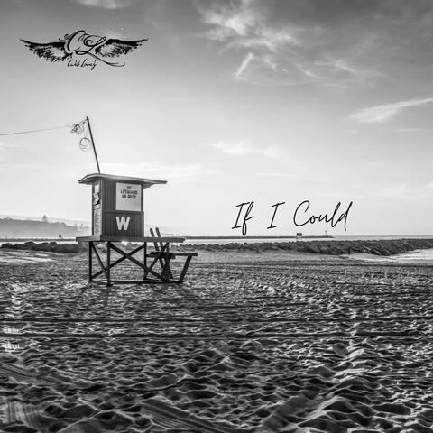 If I Could