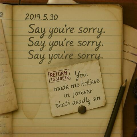 Say You're Sorry