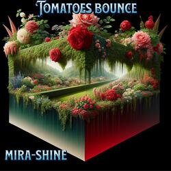 Tomalla Tomatoes Bounce