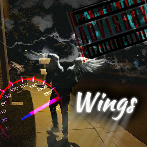 Wings