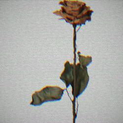 Dying The Best I've Ever Had (feat. CRUXX)