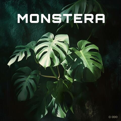 Monstera