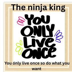 You only live once so do what you want