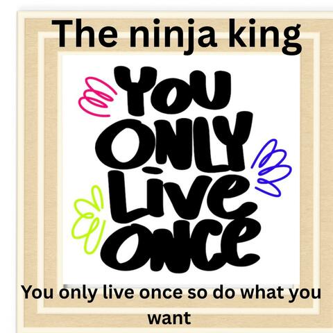 You only live once so do what you want