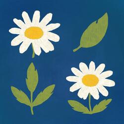 chamomile waltz