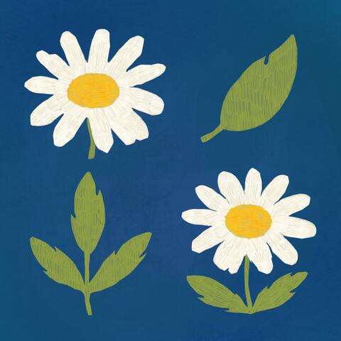 chamomile waltz