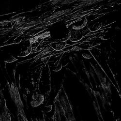 Void