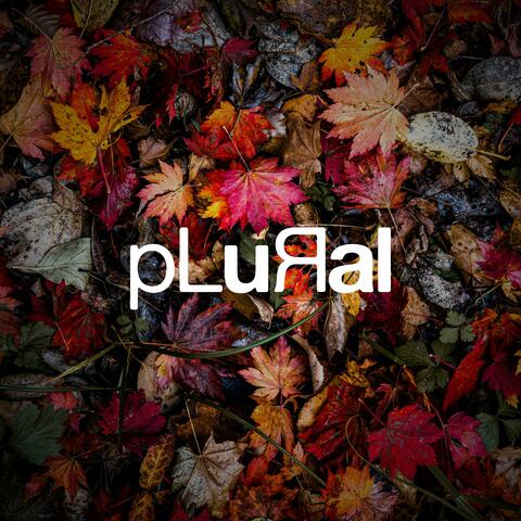 PLURAL