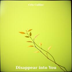 Disappear into You