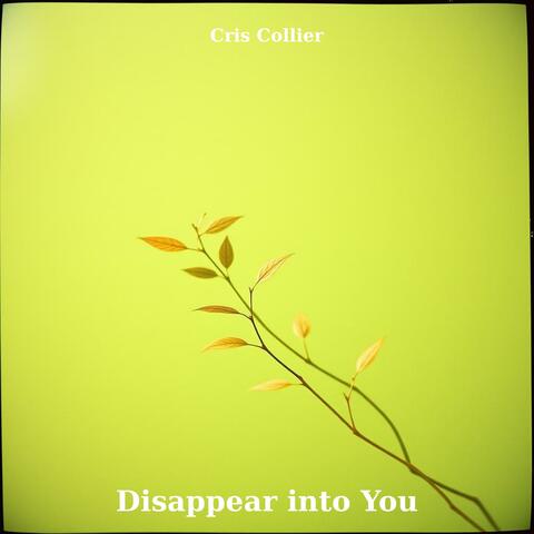 Disappear into You