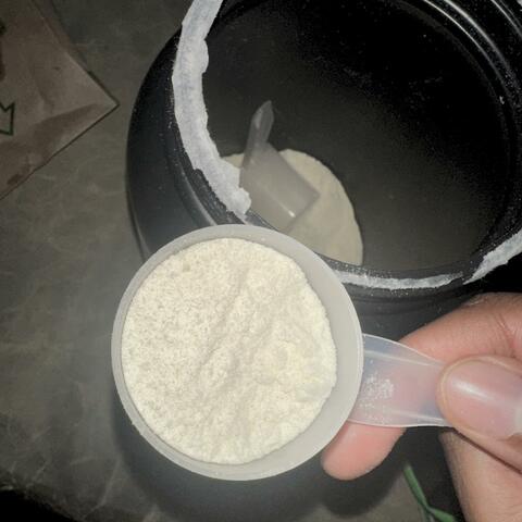 Protein