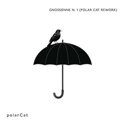 Gnossienne n.1 (Polar Cat rework)