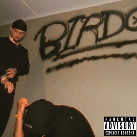 BIRDO (feat. jfivee)