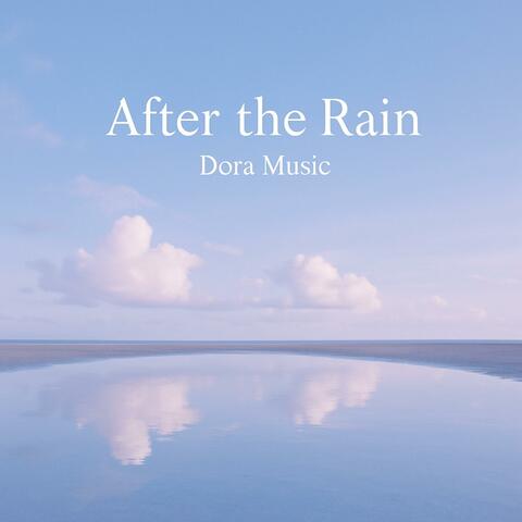 Raindrop Memory