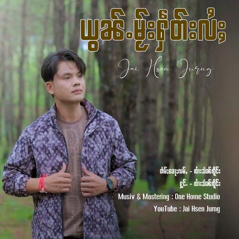 ယွၼ်ႉမႂ်းႁဵတ်းလႆႈ ၊ ၸၢႆးသႅၼ်ၸိူင်း