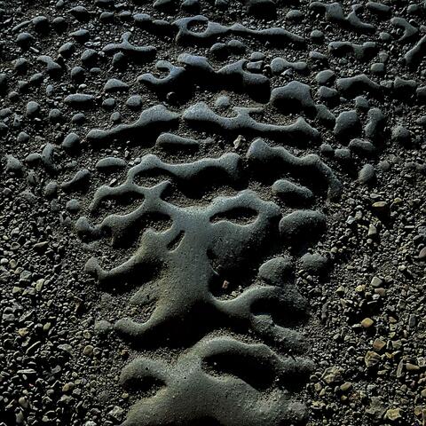 Fractiles of Life