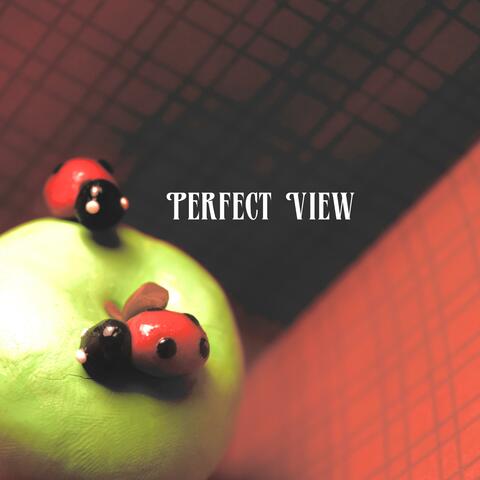 Perfect View