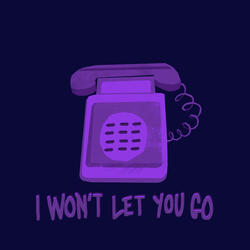 I Won't Let You Go