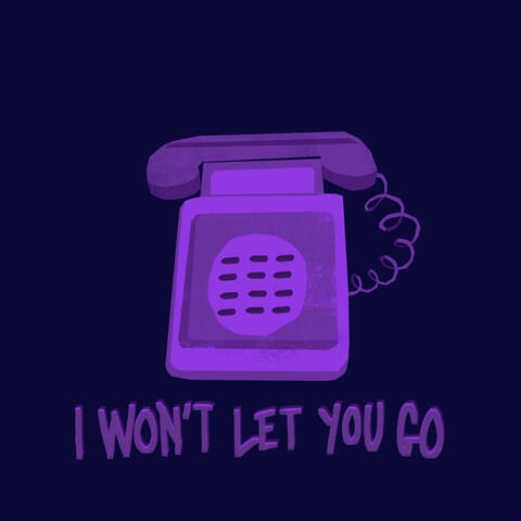 I Won't Let You Go