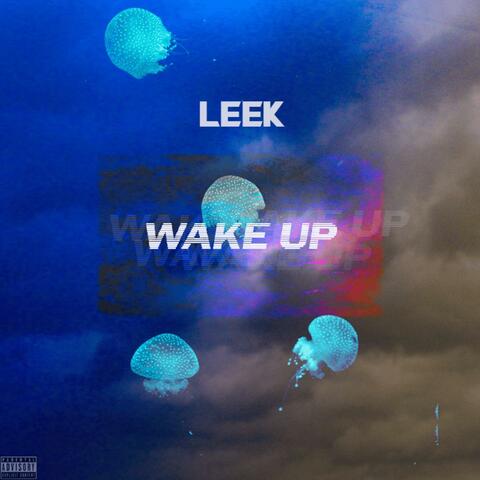 Wake Up