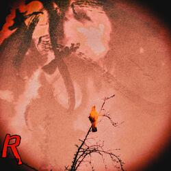 CONSUMED BY RAGE