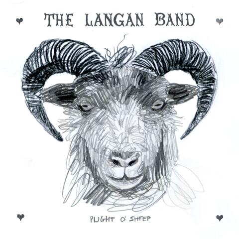 Plight o' Sheep