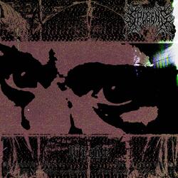 Wicht (feat. Hood Brawl)