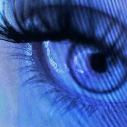 IToldYou (feat. akknelo)