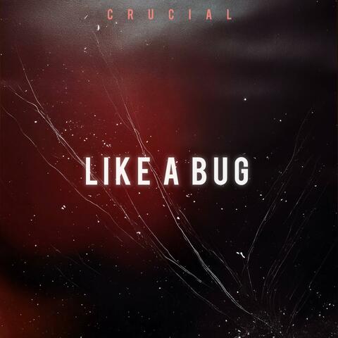 Like a Bug