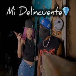 Mi Delincuente