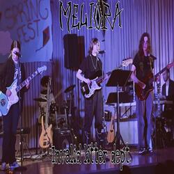 Invalid litter dept.