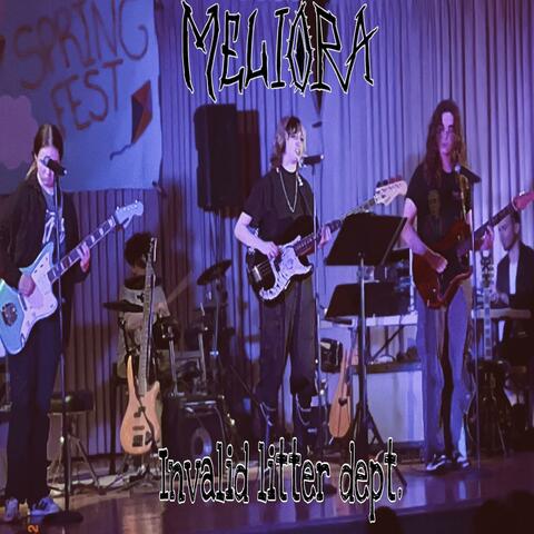 Invalid litter dept.