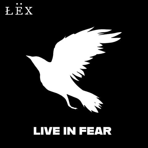 Live in fear