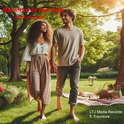 Barefoot in the Park (instumental)
