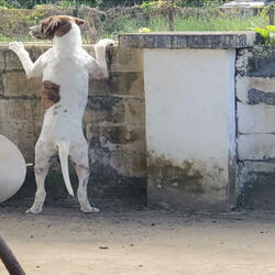 I want to see your face