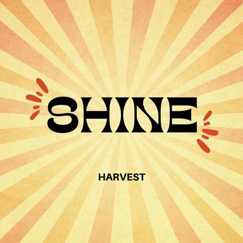 Shine