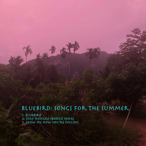 Bluebird: Songs for the Summer