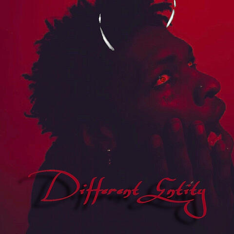 Different Entity