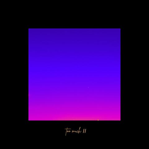 too much 2 (feat. Kaleb Mitchell)