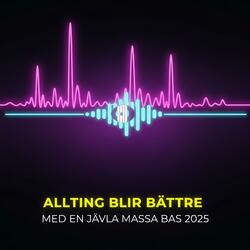 ALLTING BLIR BÄTTRE MED EN JÄVLA MASSA BAS 2025 (feat. De Hjärndöda)