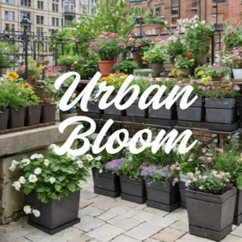 Urban Bloom 〜都会に咲く夢〜